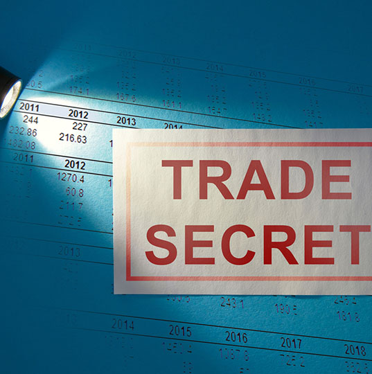 Trade Secrets Investigation Services